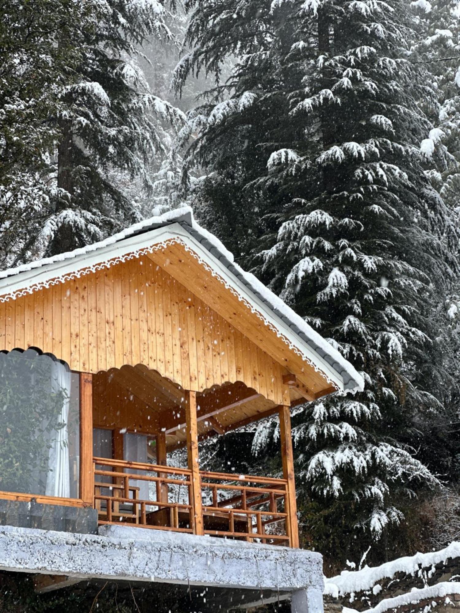 Tree House Latos Tandi Hotel Jibhi Luaran gambar